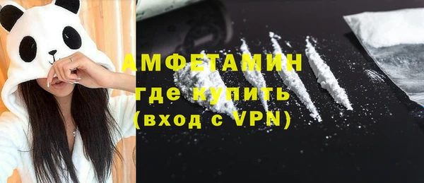 шишки Беломорск
