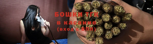шишки Белоозёрский