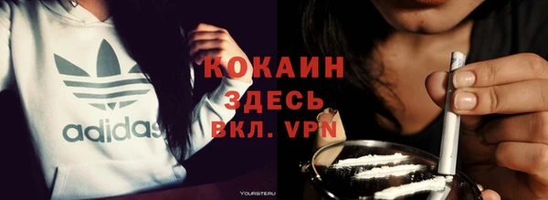 шишки Белоозёрский