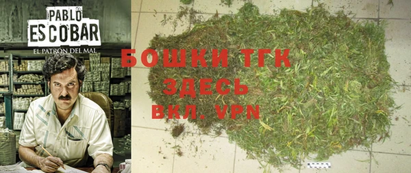 шишки Беломорск
