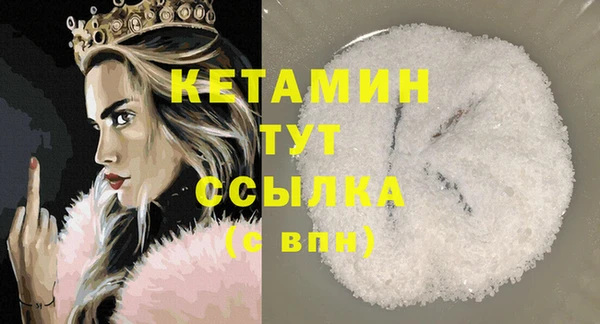 шишки Белоозёрский