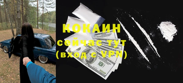 шишки Беломорск