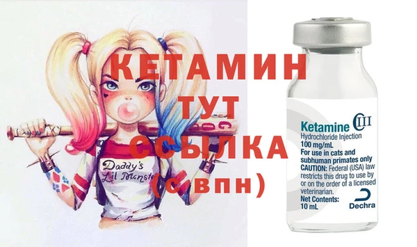 шишки Беломорск